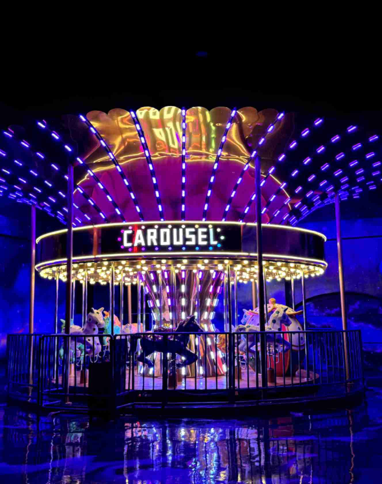 Chill Carousel