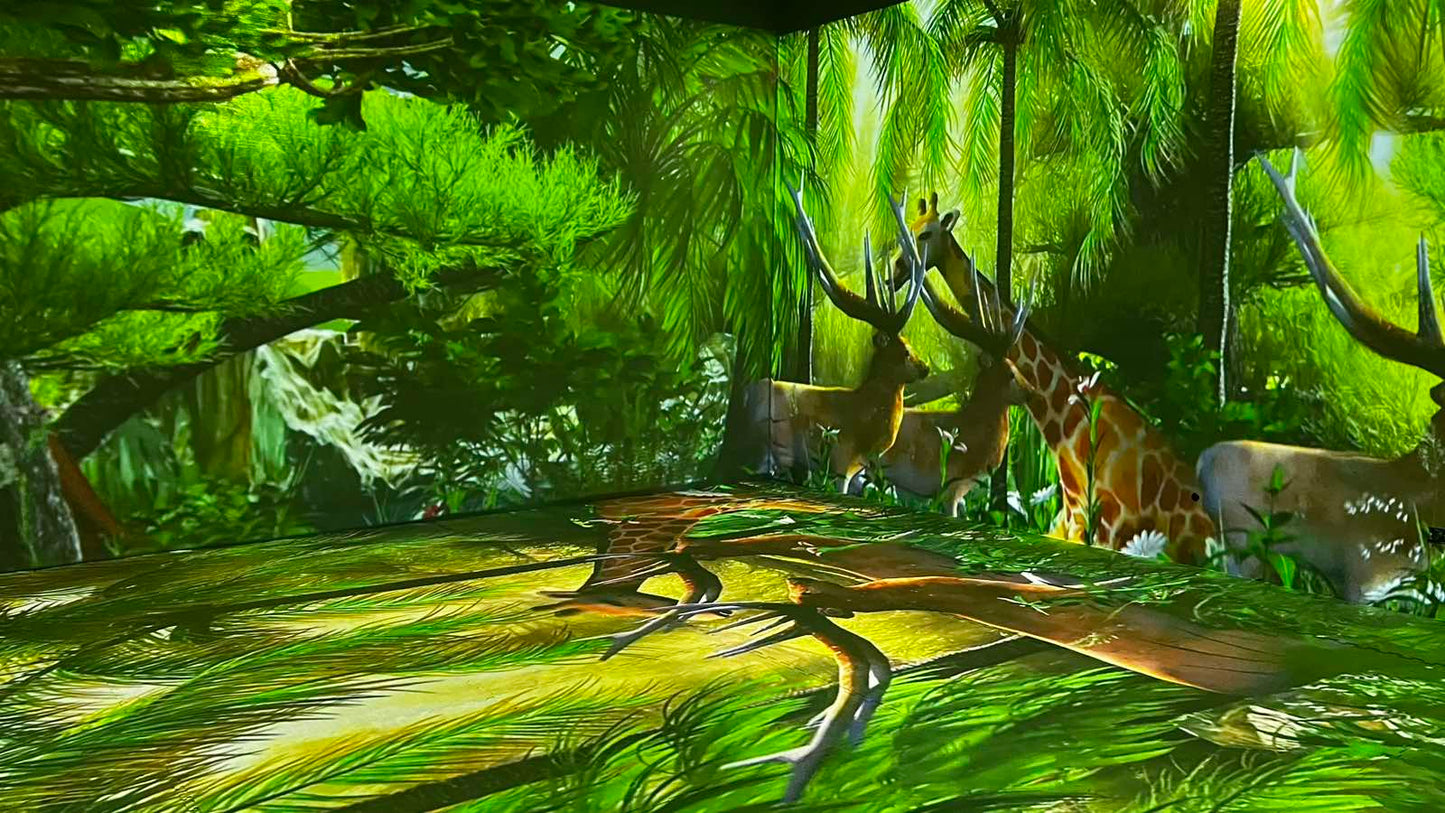 Interactive Lightscape