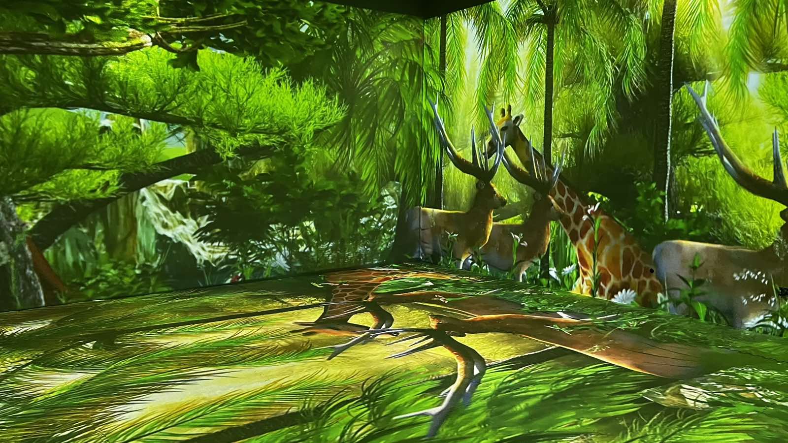 Interactive Lightscape